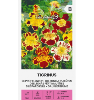 Pärdiklill Tigrinus segu