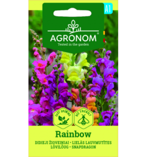 Lõvilõug Rainbow