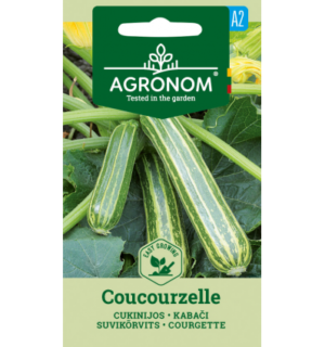 Suvikõrvits Coucourzelle
