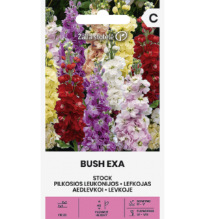 aed-levkoi-bush-exa