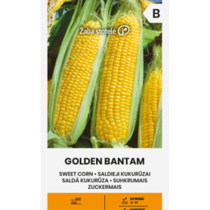 suhkru-mais-golden-bantam