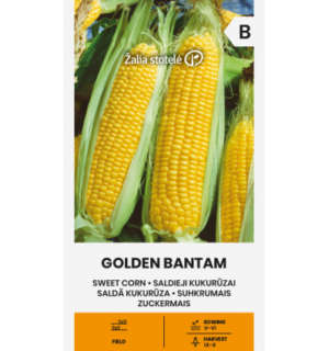 suhkru-mais-golden-bantam