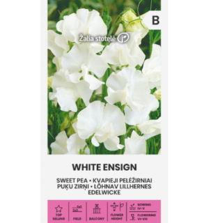 Lõhnav lillhernes White Ensign