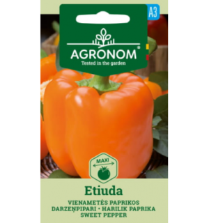 Paprika Etiuda
