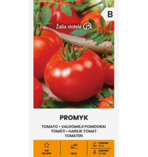 Tomat Promyk