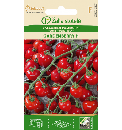 Tomat Gardenberry H