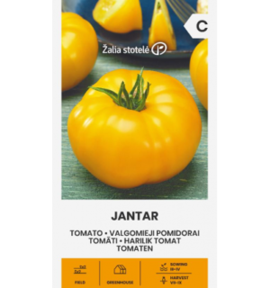 Tomat Jantar