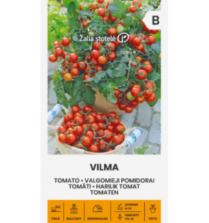 Tomat Vilma