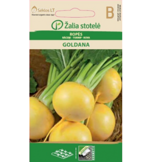 Naeris Goldana*6