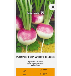 Naeris Purple Top White Globe
