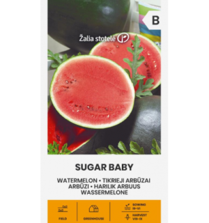 Arbuus Sugar Baby