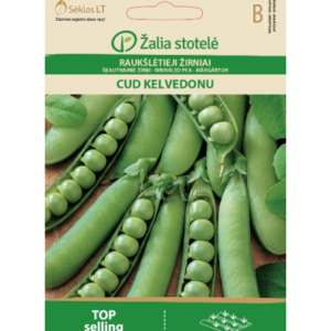Aedhernes Kelvedon Wonder 20g.