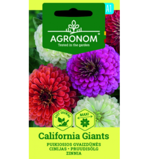 Pruudisõlg (zinnia) California Giants