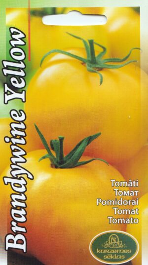 Tomat Brandywine Yellow*