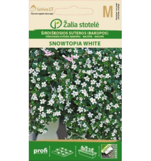 Südajas suutera Snowtopia White