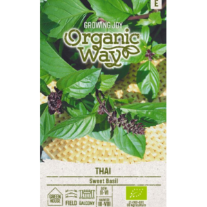 Magus basiilik THAI (Mahe)