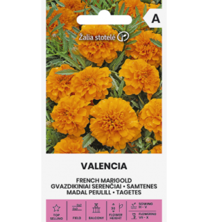 Madal peiulill(tagetes) Valencia*7
