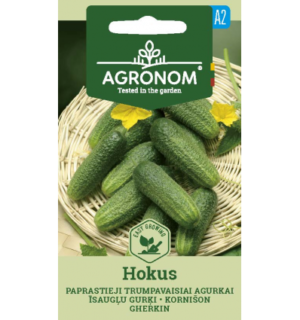 Kurk Hokus
