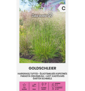 luht kastevars goldschleier