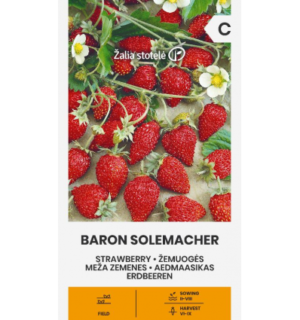 maasikas baron solemacher