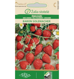 maasikas baron solemacher
