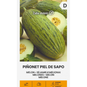 Melon Pinonet Piel De Sapo