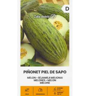 Melon Pinonet Piel De Sapo