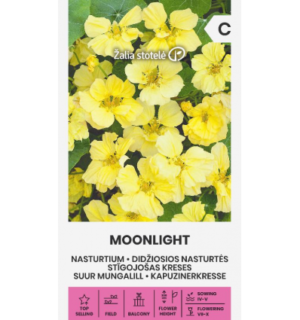 Suur mungalill(kress) Moonlight