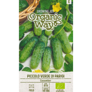 Kurk Piccolo Verde Di Parigi (Mahe)*7