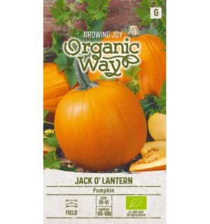 Kõrvits Jack O´Lantern Mahe