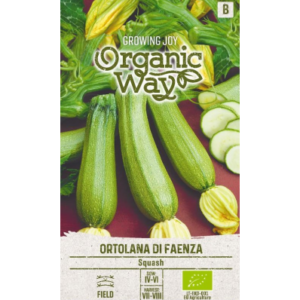 Suvikõrvits Ortolana Di Faenza(Mahe)