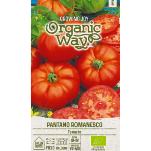 Tomat Pantano Romanesco(Mahe)