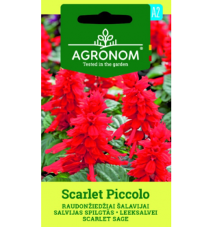 Leeksalvei Scarlet Piccolo