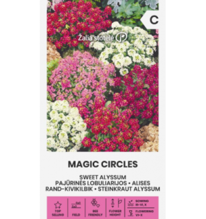 Rand-kivikilbik segu Magic Circles