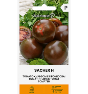 Tomat Sacher F1*