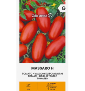 Tomat Massaro H