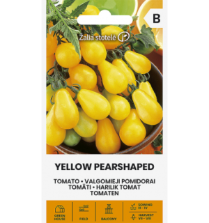 Tomat Yellow Pearshaped