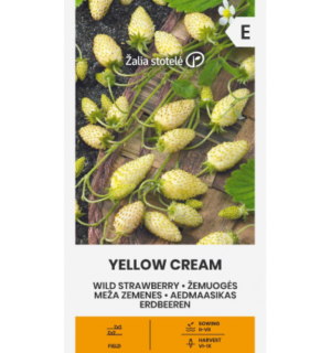 Maasikas Yellow Cream