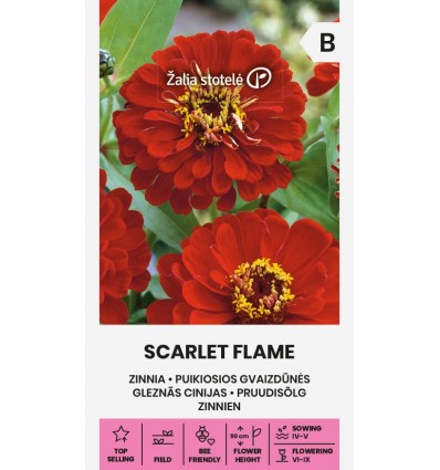 Pruudisõlg(zinnia) Scarlet Flame