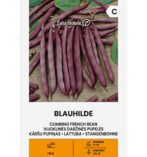 Roniv lattuba Blauhilde