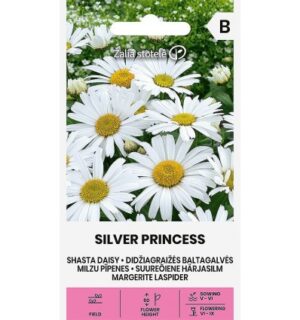 Suur härjasilm Silver Princess