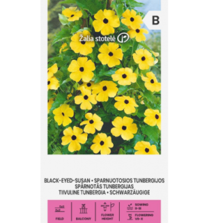 Tiivuline tunbergia