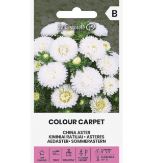 Aedaster Colour Carpet, valge