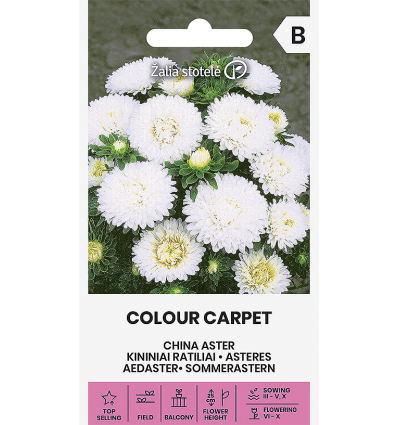Aedaster Colour Carpet, valge