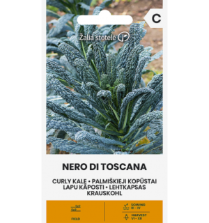 Lehtkapsas(kale) Nero Di Toscana Must palm