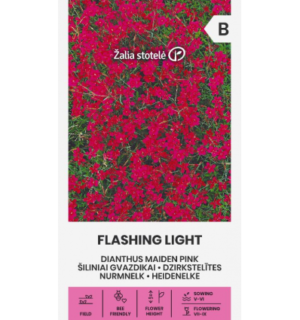 nurm-nelk-flashing-light