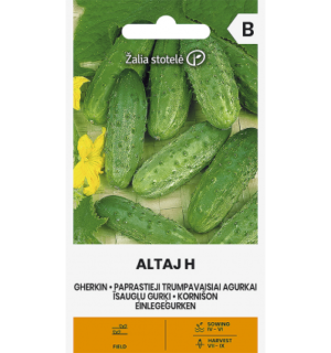 Kurk Altaj F1