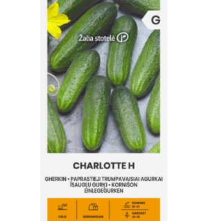 Kurk Charlotte F1*7