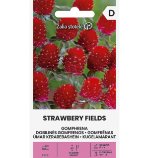 Ümar kerarebashein Strawbery Fields*