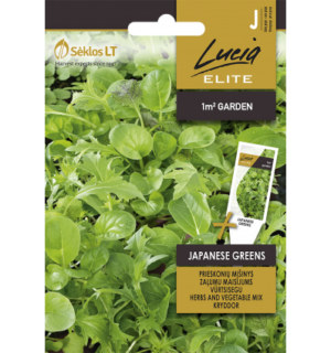 Vürtsisegu Japanese Greens
